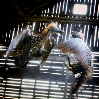 Illustration for article titled Visions Of Uplifted Animals, And Humans Brought Low